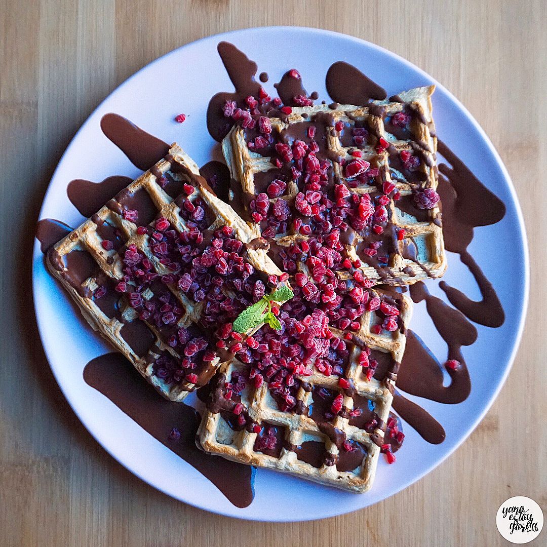 Gofres de avena con cacao Gofres de avena con cacao