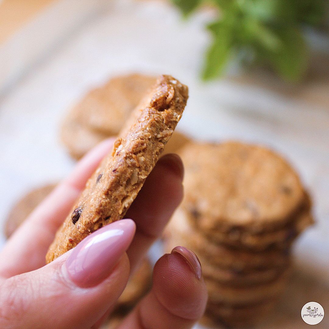 GALLETAS DIGESTIVE SALUDABLES GALLETAS DIGESTIVE SALUDABLES