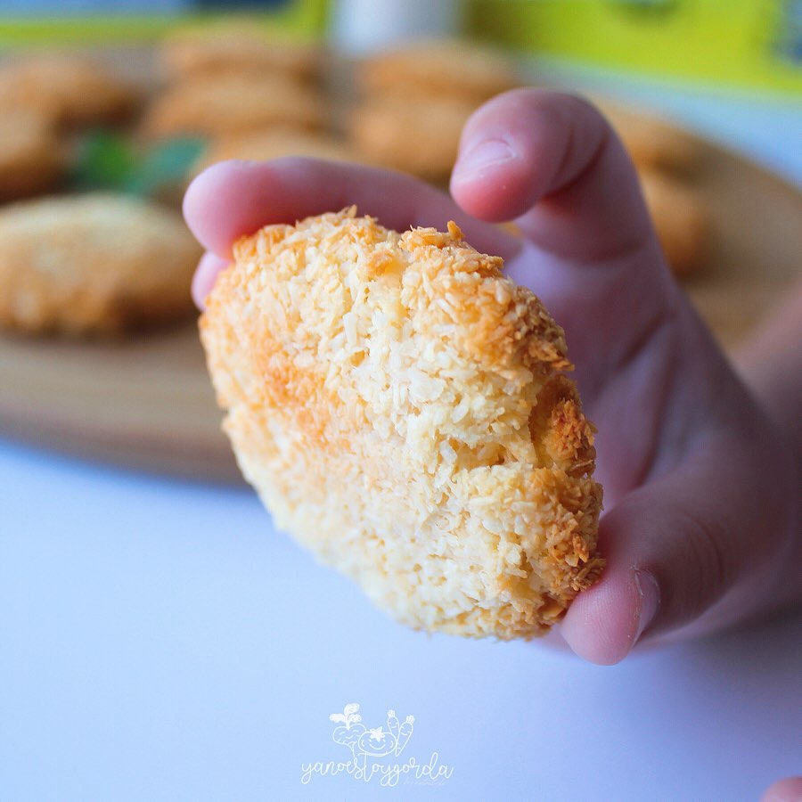 GALLETAS DE COCO ALTAS EN PROTEÍNA GALLETAS DE COCO ALTAS EN PROTEÍNA
