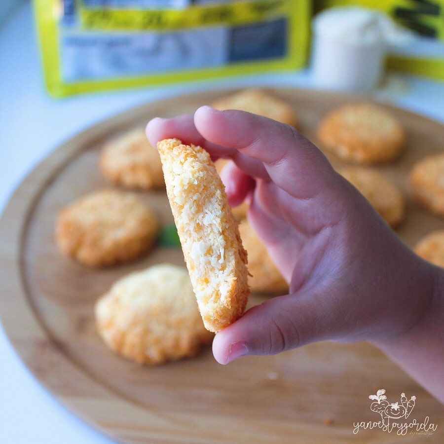 GALLETAS DE COCO ALTAS EN PROTEÍNA GALLETAS DE COCO ALTAS EN PROTEÍNA