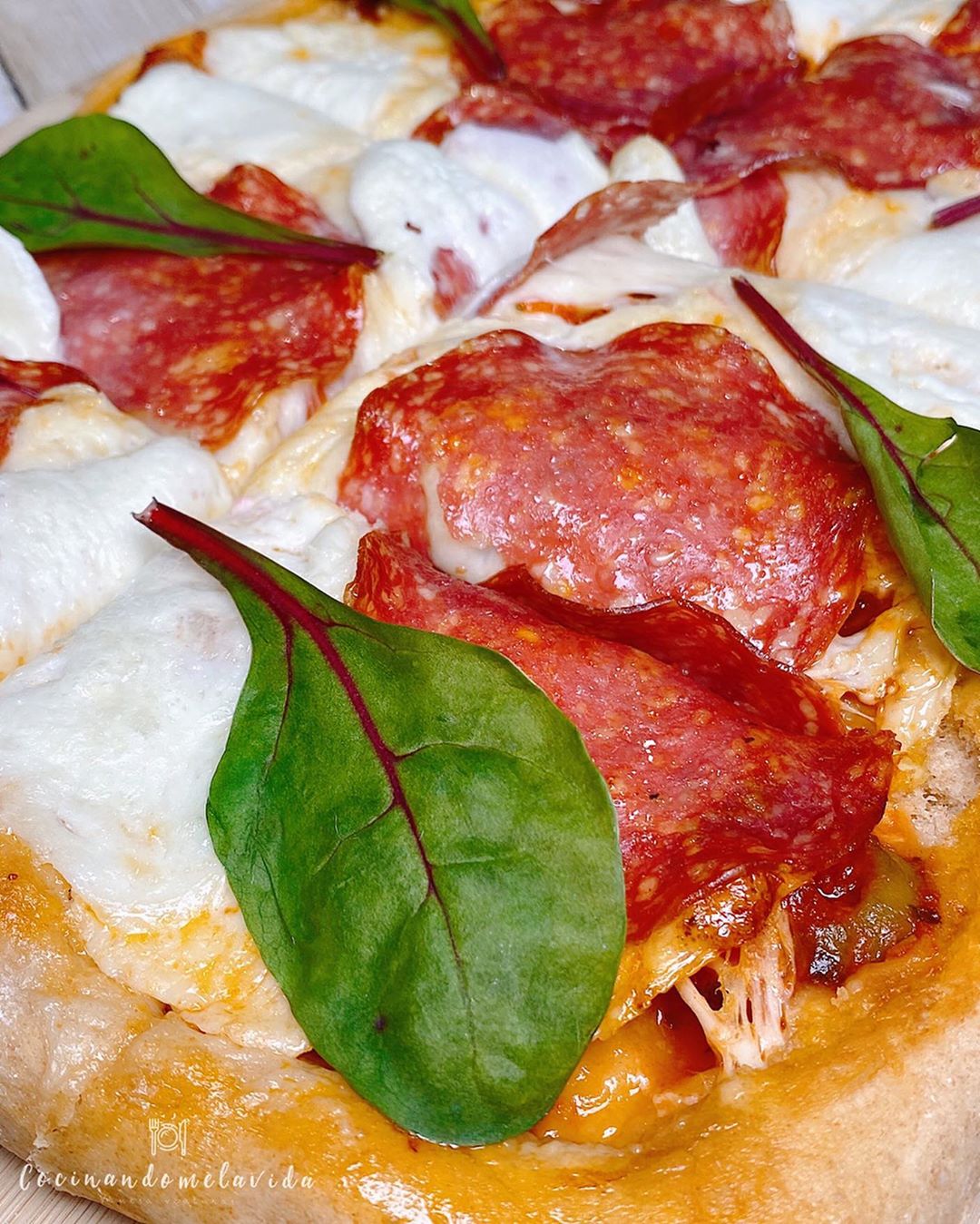 PIZZA DE ESPELTA CON SALAMI Y MOZZARELLA DE BÚFALA