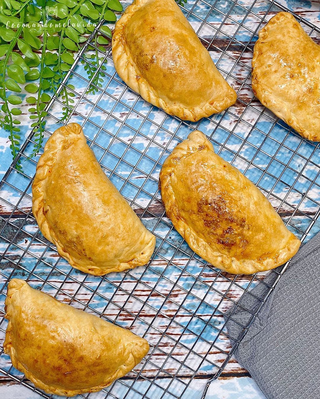 EMPANADAS AL HORNO
