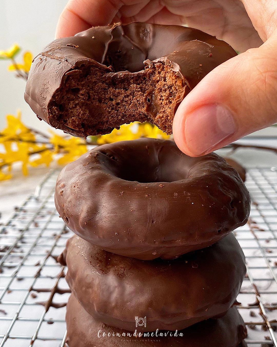 DONUTS SALUDABLES DE CHOCOLATE