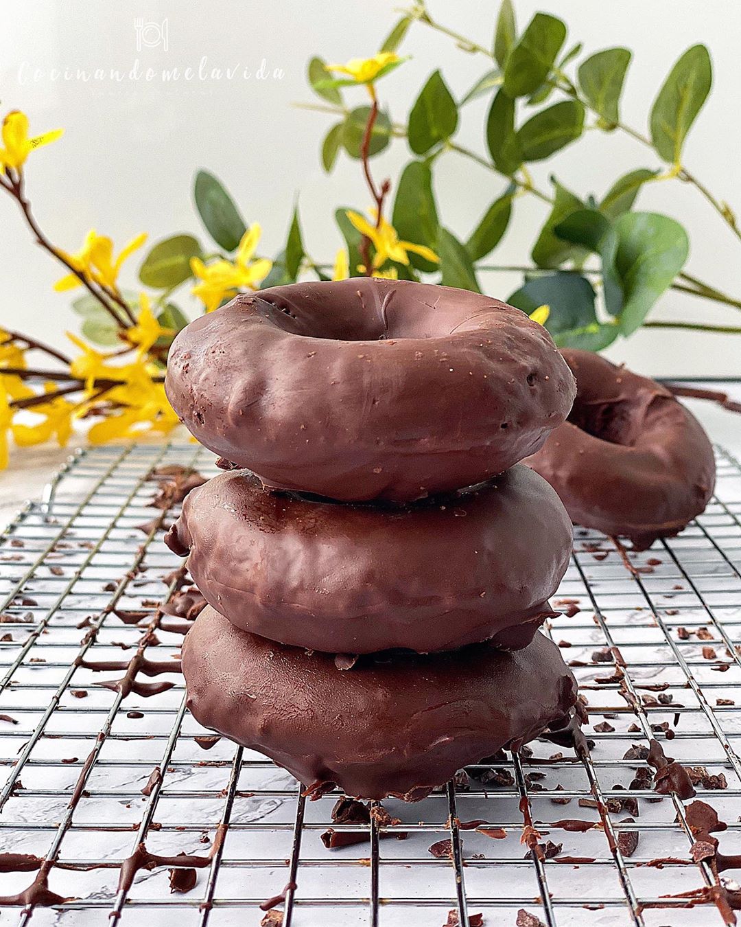 DONUTS SALUDABLES DE CHOCOLATE