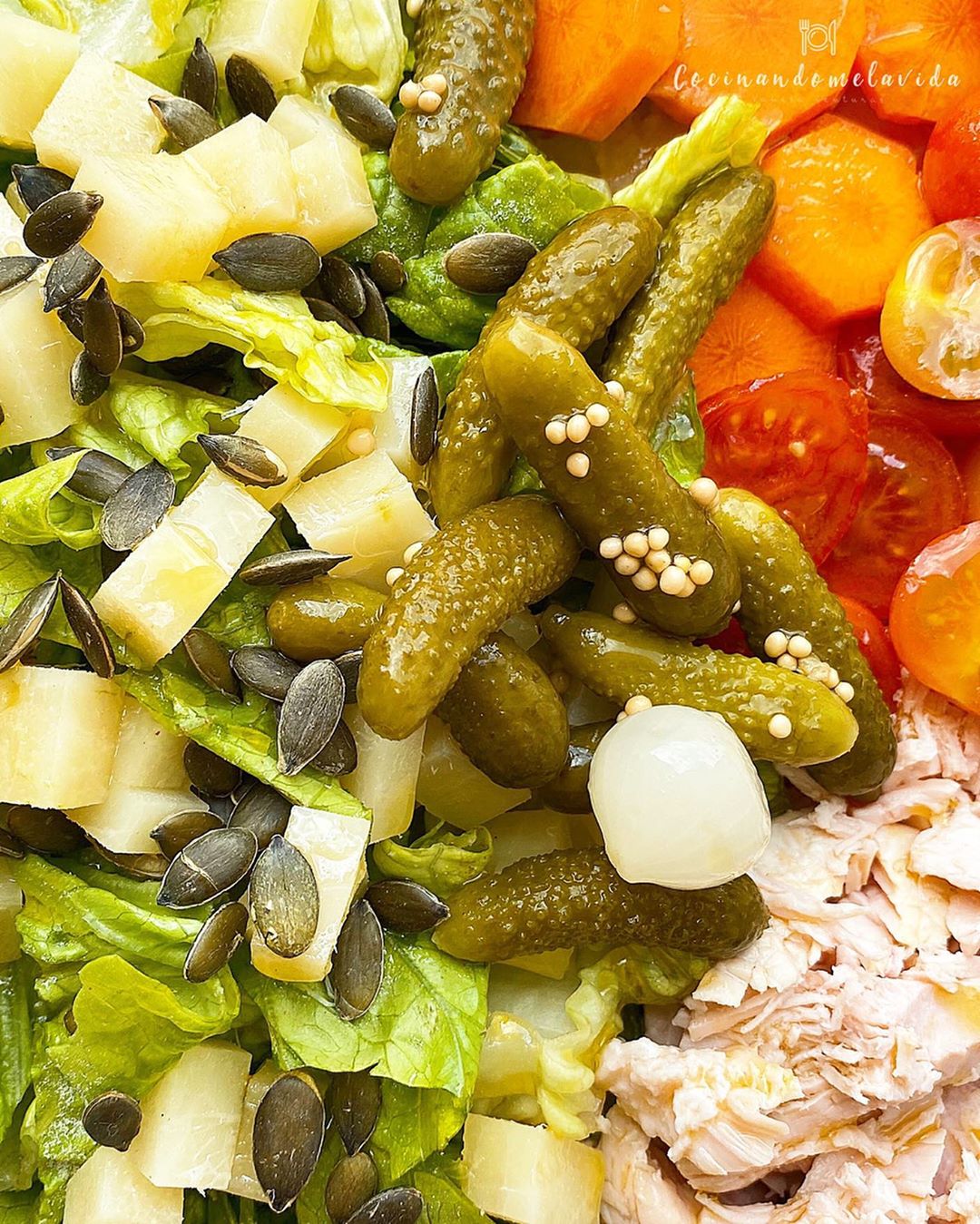 ENSALADA CON PEPINILLOS
