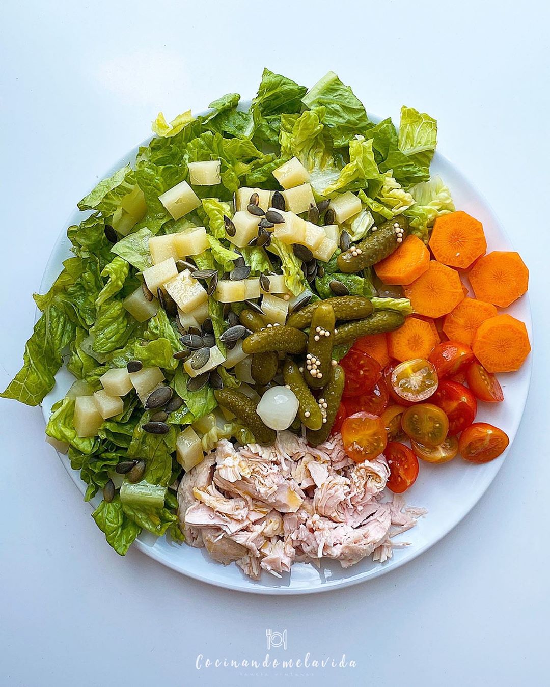 ENSALADA CON PEPINILLOS