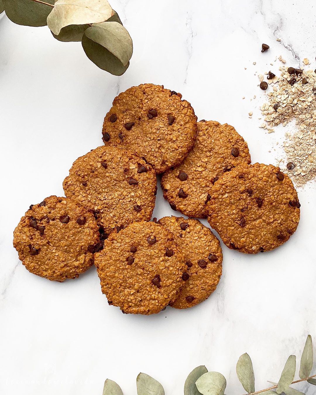 GALLETAS DE CEREALES CON CHISPAS DE CHOCOLATE