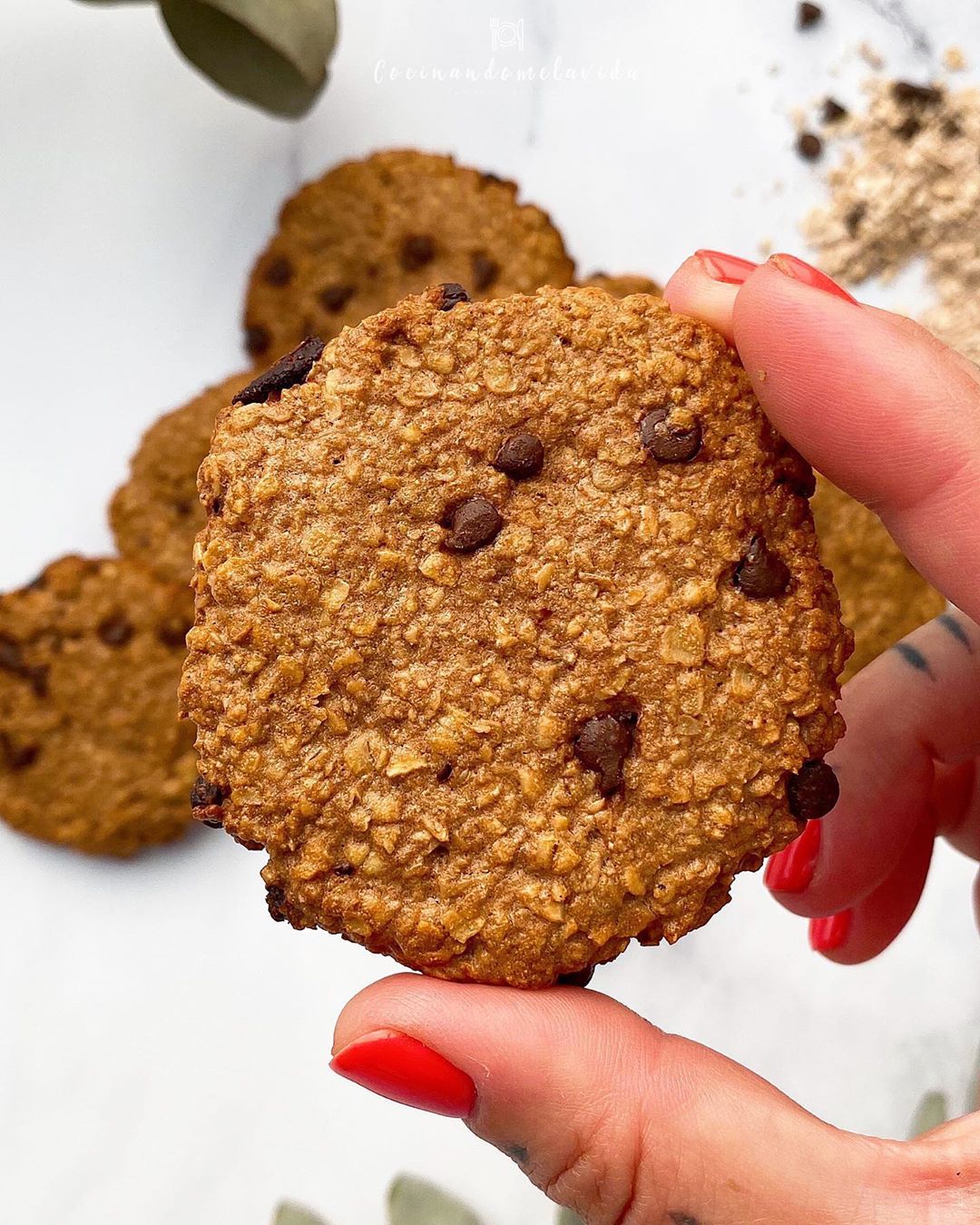 GALLETAS DE CEREALES CON CHISPAS DE CHOCOLATE