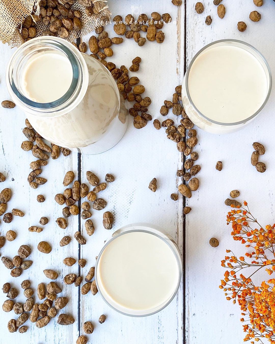 HORCHATA CASERA HORCHATA CASERA