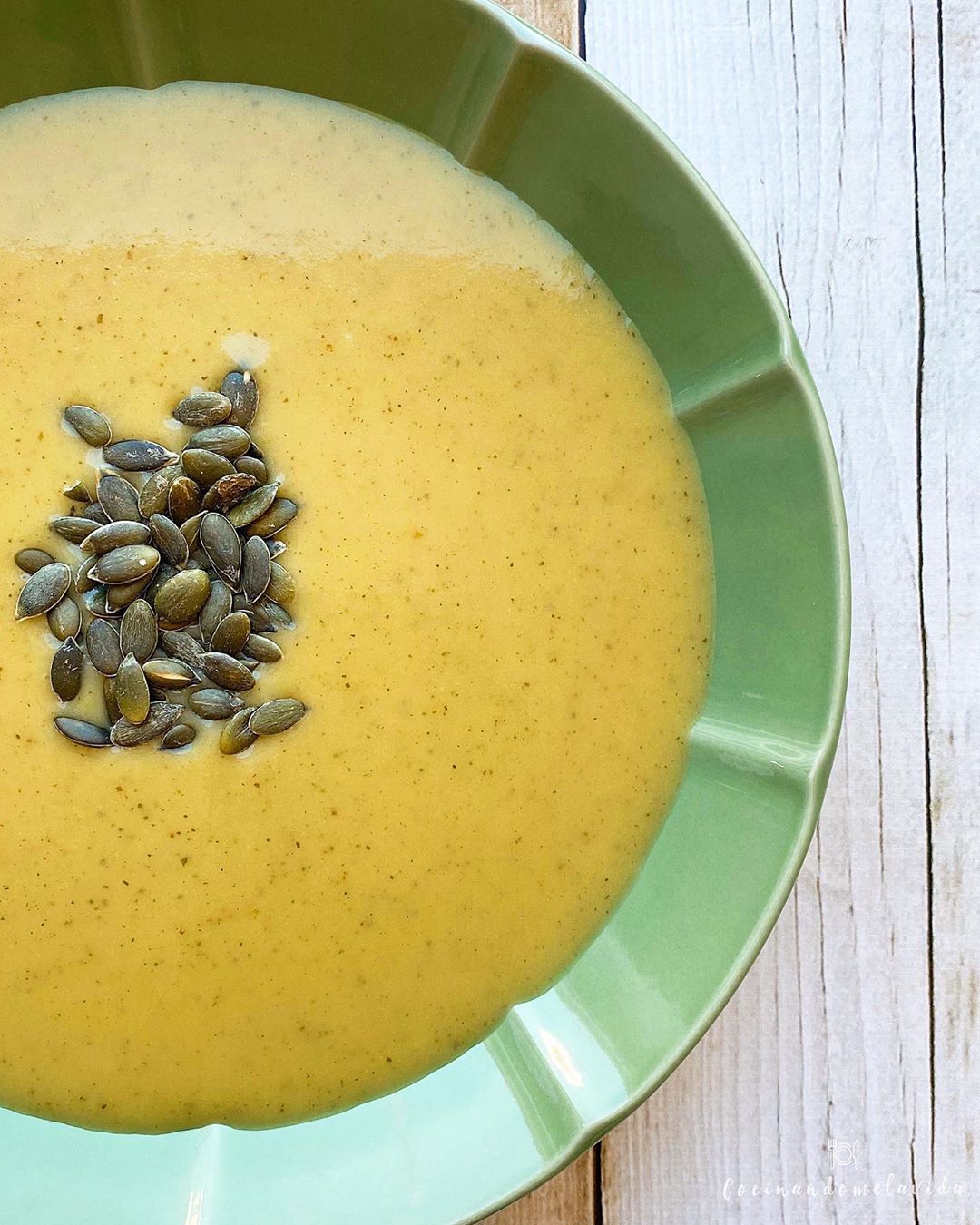 CREMA FRÍA DE CALABACÍN Y PUERROS CREMA FRÍA DE CALABACÍN Y PUERROS