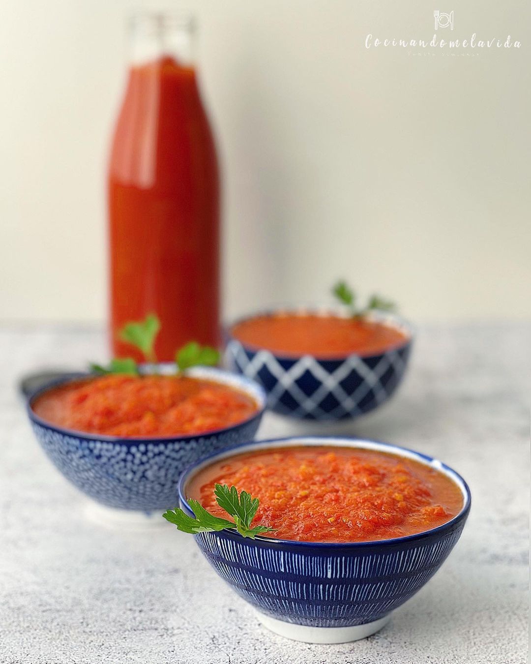 SALSA DE TOMATE CASERA EN OLLA EXPRESS