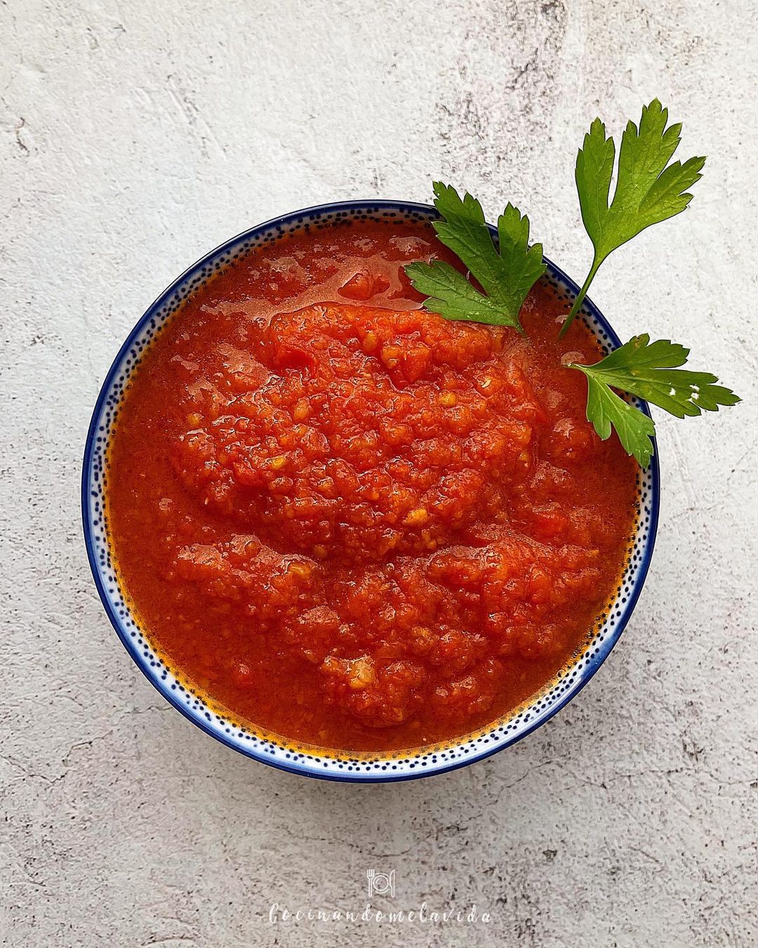 SALSA DE TOMATE CASERA EN OLLA EXPRESS