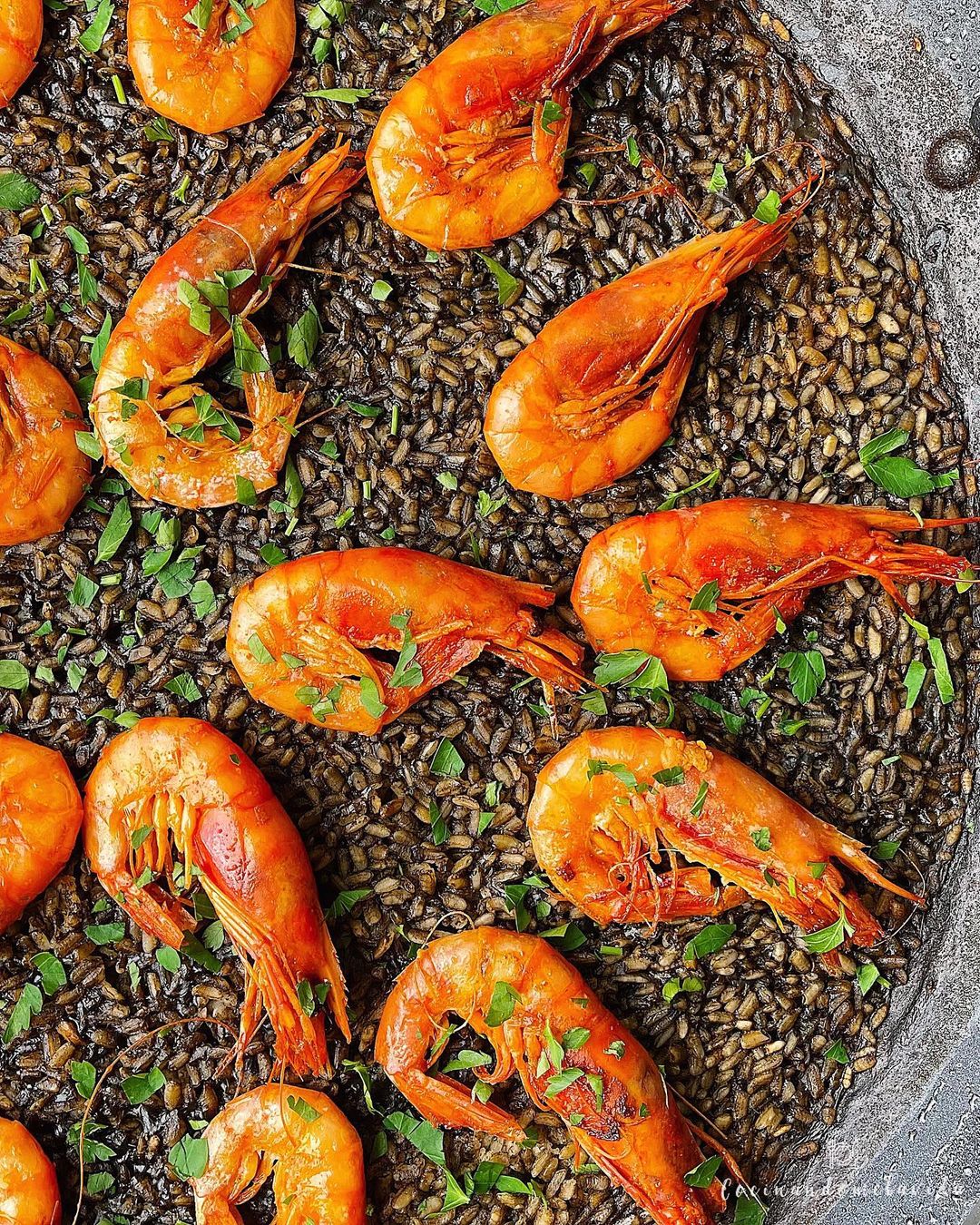 ARROZ NEGRO CON GAMBA ROJA