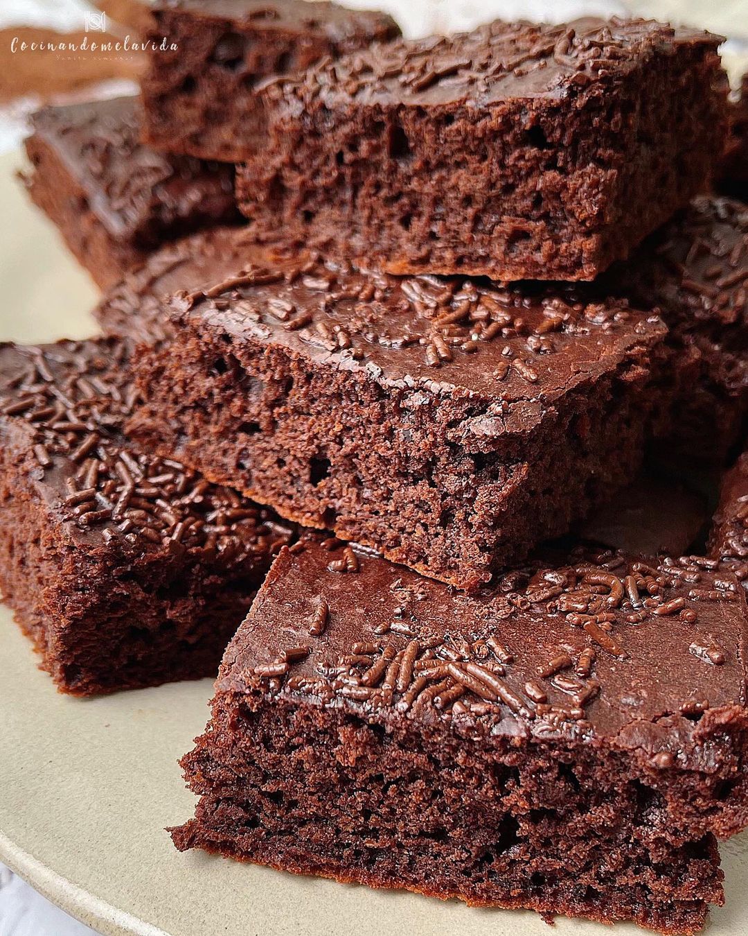 BIZCOCHO DE CHOCOLATE JUGOSO