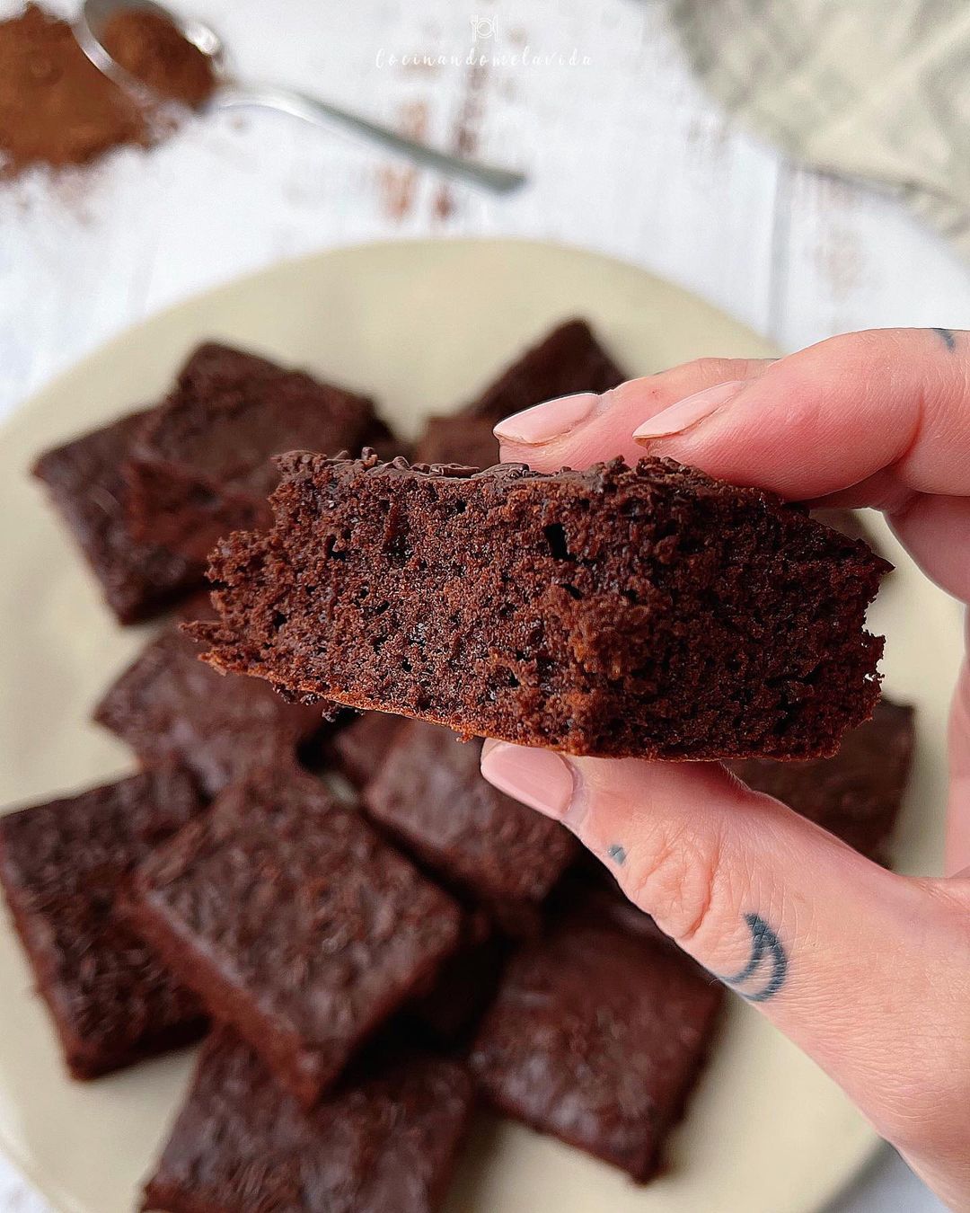 BIZCOCHO DE CHOCOLATE JUGOSO
