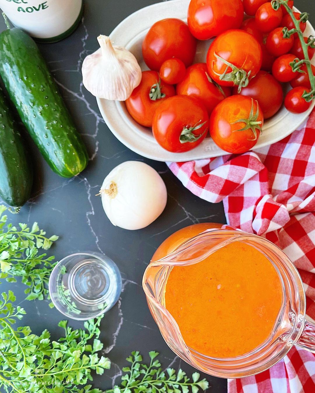 GAZPACHO LIGERO