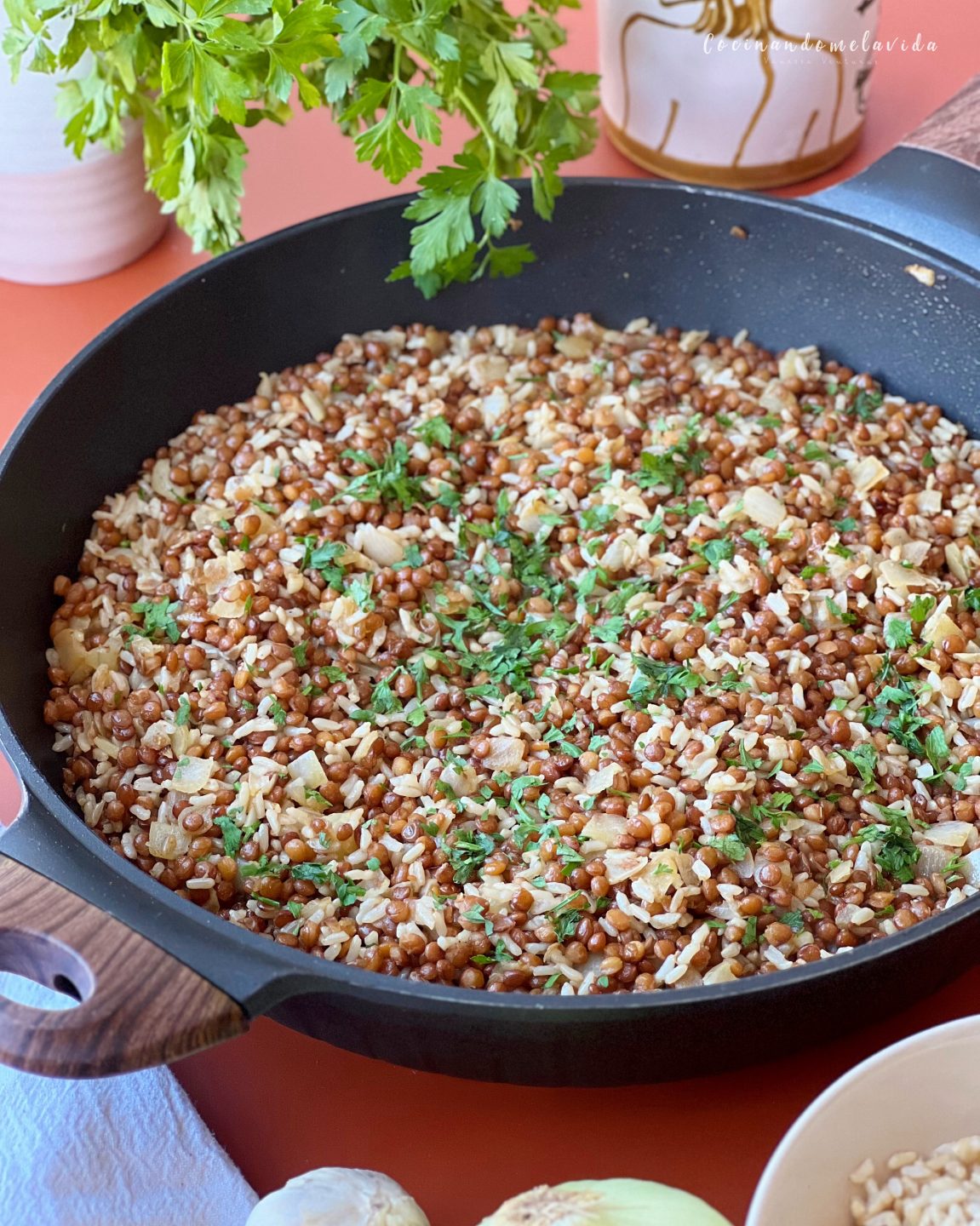 LENTEJAS CON ARROZ