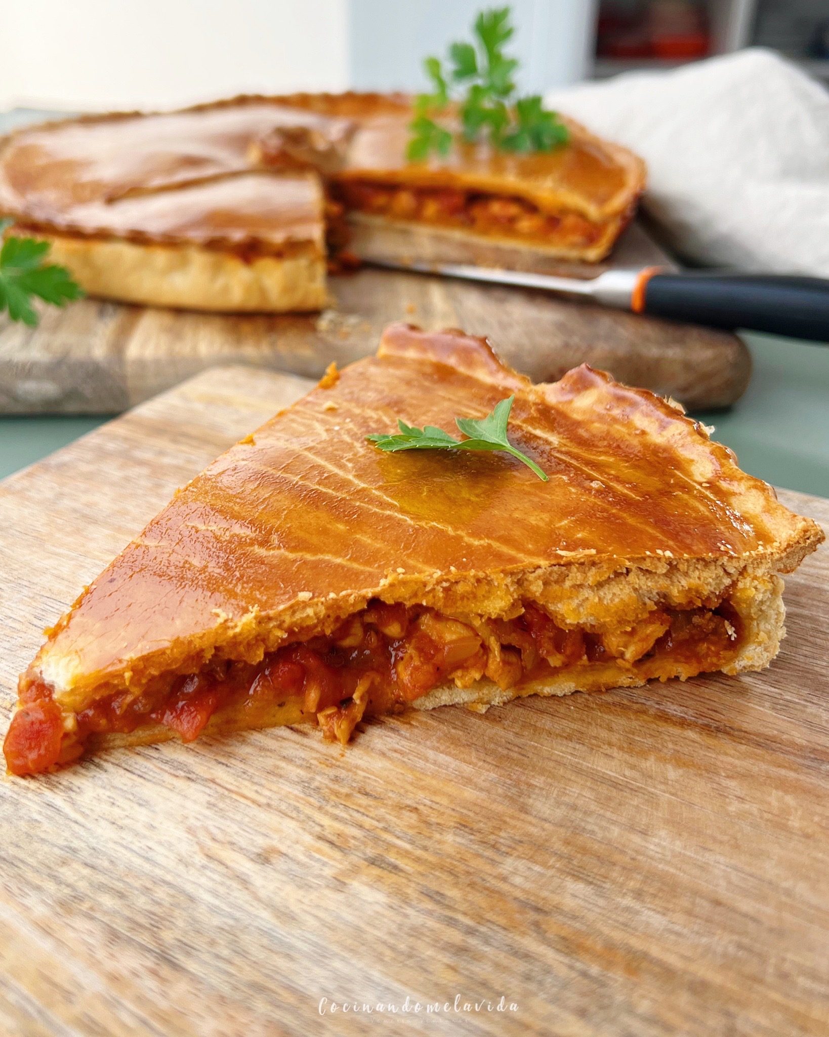 EMPANADA DE POLLO CON MASA CASERA EMPANADA DE POLLO CON MASA CASERA